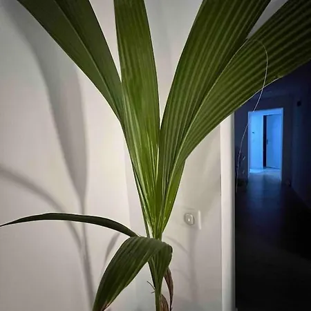 Charmante Maison Moderne A Piscine Et Parking Gratuit Toulon