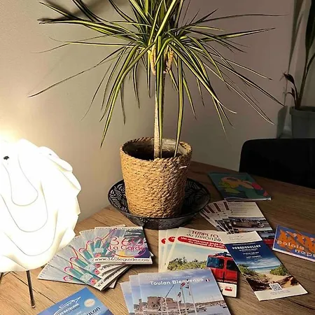 Charmante Maison Moderne A Piscine Et Parking Gratuit Toulon